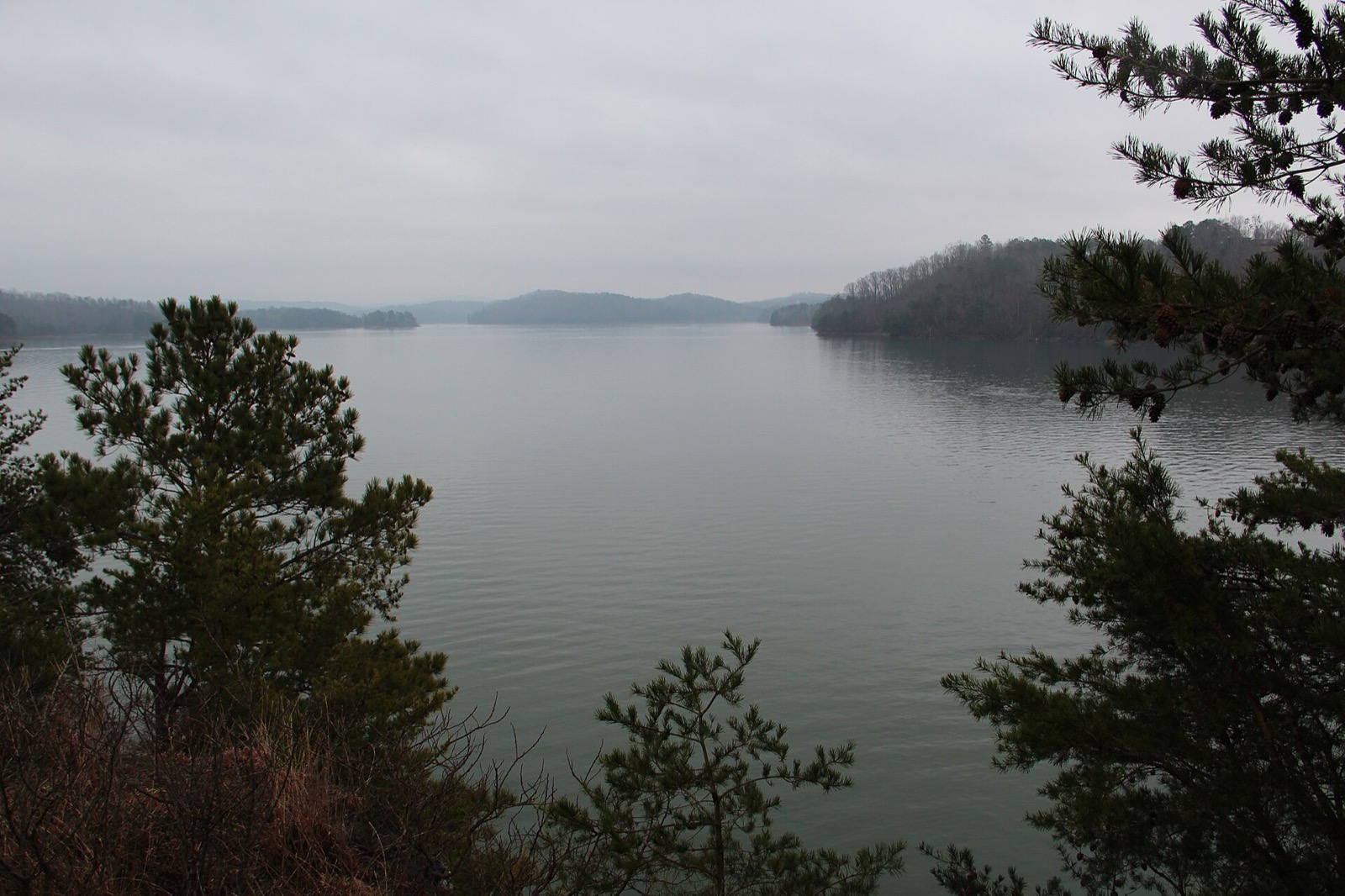 Carters Lake on the Coosawattee River
